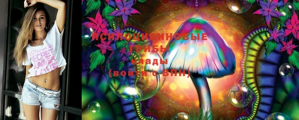 ECSTASY Алексин