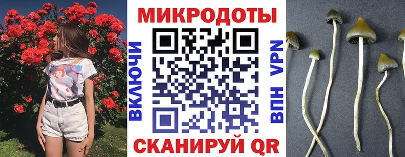 Псилоцибиновые грибы Psilocybine cubensis  Щигры 